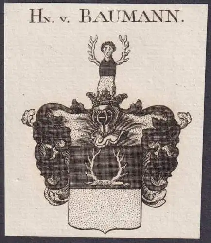 Hn. v. Baumann -  Wappen Adel