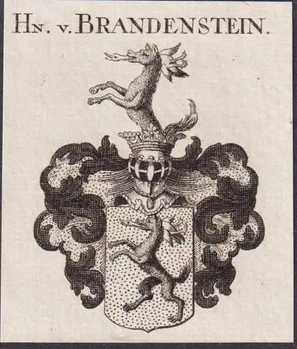 Hn. v. Brandenstein -  Wappen Adel