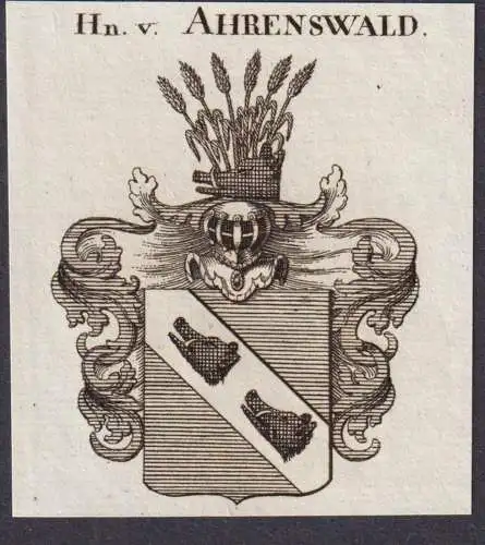 Hn. v. Ahrenswald -  Wappen Adel
