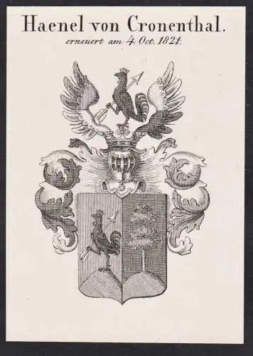 Haenel von Cronenthal -  Wappen Adel