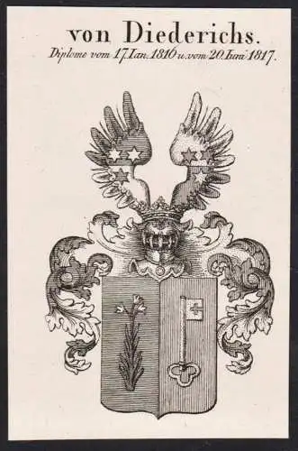 Von Diederichs -  Wappen Adel