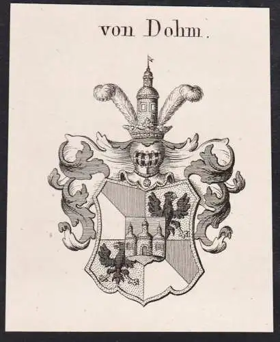 von Dohm -  Wappen Adel