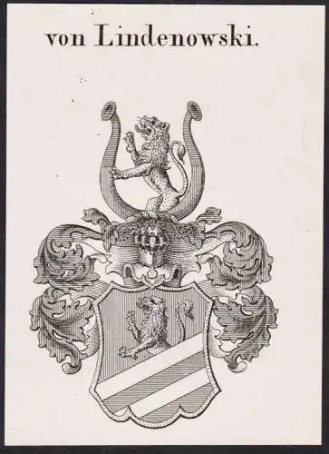 von Lindenowski -  Wappen Adel