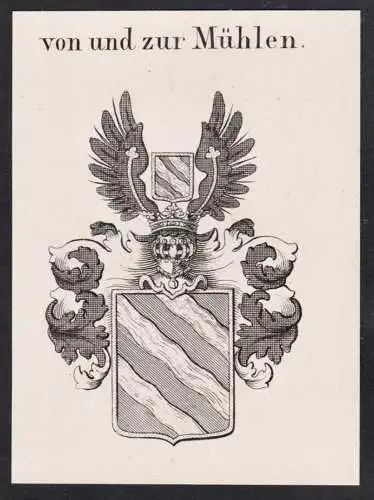 von und zur Mühlen -  Wappen Adel