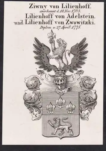 Ziwny von Lilienhoff. Lilienhoff von Adelstein. und Lilienhoff von Zwowitzki -  Wappen Adel