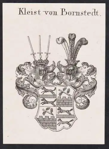 Kleist von Bornstedt -  Wappen Adel