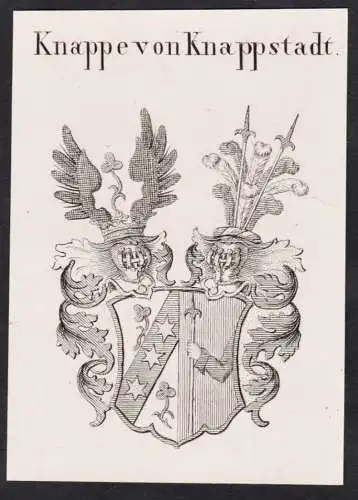 Knappe von Knappstadt -  Wappen Adel