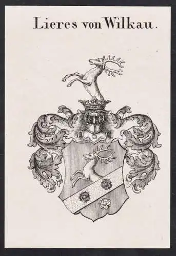 Lieres von Wilkau -  Wappen Adel