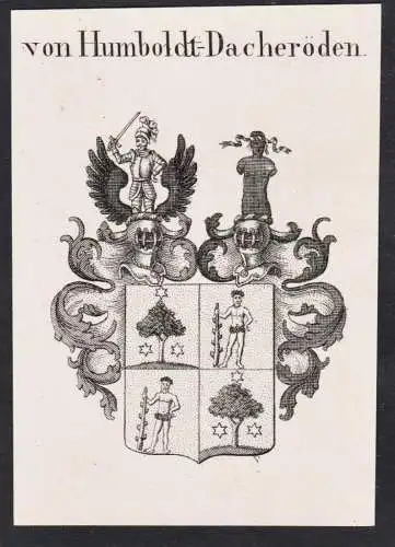 von Humboldt-Dacheröden -  Wappen Adel