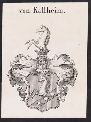 von Kallheim -  Wappen Adel