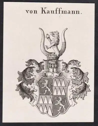 von Kauffmann -  Wappen Adel