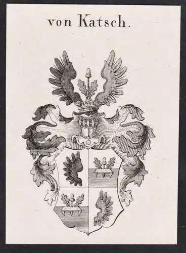 von Katsch -  Wappen Adel