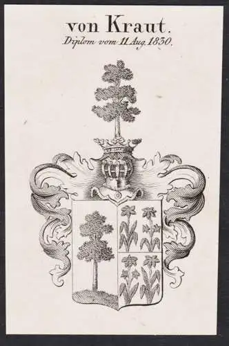 von Kraut -  Wappen Adel