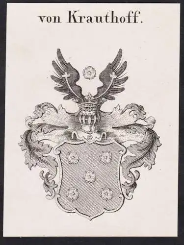 von Krauthoff -  Wappen Adel