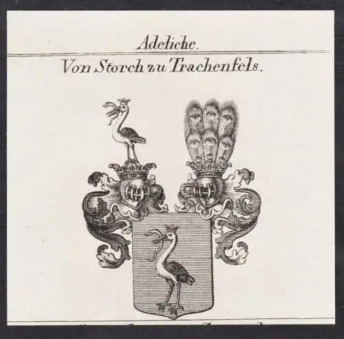 Adeliche von Storch zu Trachenfels -  Wappen Adel