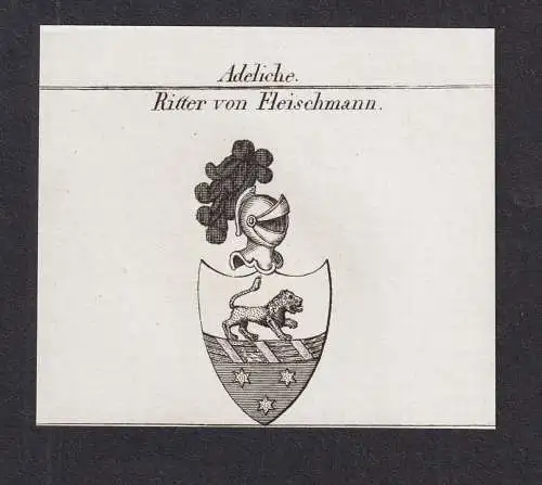 Adeliche Ritter von Fleischmann -  Wappen Adel