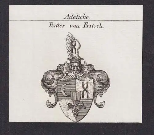 Adeliche Ritter von Fritsch -  Wappen Adel