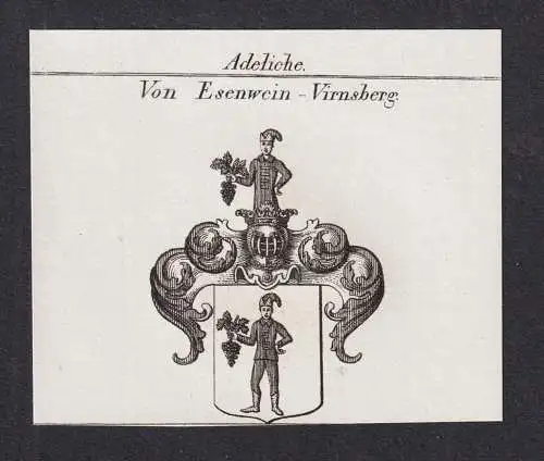 Adeliche von Esenwein - Virnsberg -  Wappen Adel