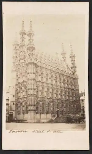 Louvain-Hotel de Ville - Hôtel de ville de Louvain Leuven Belgium Belgique Belgien / CDV Foto Photo vintage p