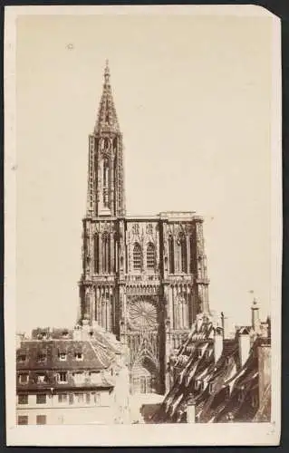 (Strasbourg Cathedrale) - cathedral Straßburg Alsace Elsass / CDV Foto Photo vintage photograph