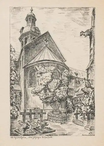 Alt Hildesheim. 1000jähriger Rosenstock (mit Mariendom)
