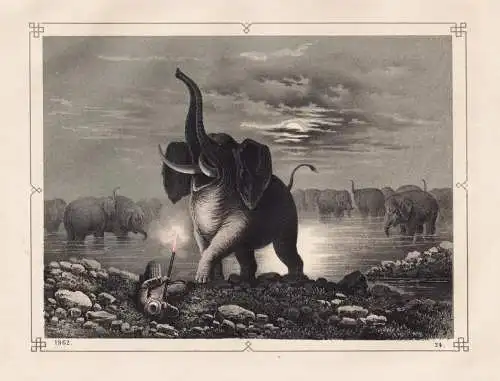 (Elefanten-Jagd) - elephants hunting Africa Afrika