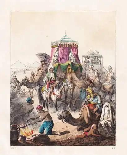 (Haremszelt auf Kamel) - Orient Karawane Kamele Camels tent Zelt Wüste pyramids Pyramiden Agypten Egypt