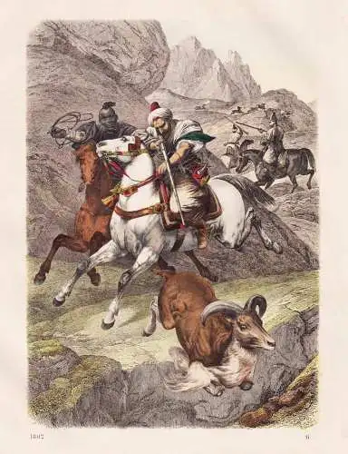 (Mufflon-Jagd in Marokko) - Mufflon mouflon hunting Maroc Morocco Marokko Africa Afrika Afrique