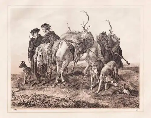 (Rotwild-Jagd in Schottland) - Hirsche deer hunting Scotland Schottland