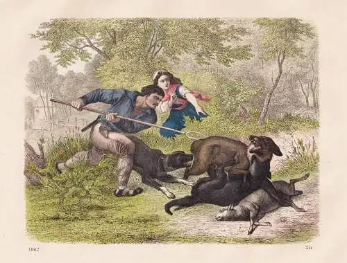 (Wolfs-Jagd) - Wolfsjagd Wolf Wölfe Hunde dogs hunting