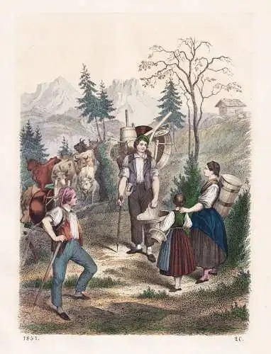 (Heimzug von der Alp) - Almabtrieb Bauern farmer Traditionen traditions Alpen alpine cattle drive