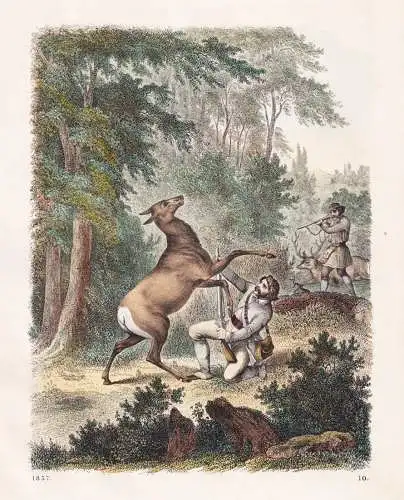 (Jagd auf Rehe) - Jäger Reh Rehe deer Rehwildjagd Jagd hunter hunting