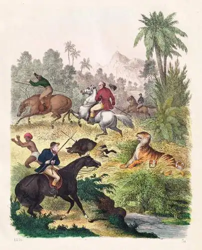 (Jagd in Ostindien) - Jäger Jagd hunter hunting / India Indien / Wildscheine wild boar Schweine Tiger