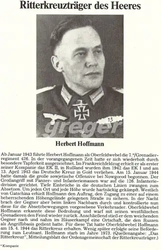 Der Landser Grossband Nr. 496