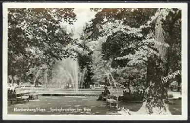 AK DDR  Blankenburg/Harz Springbrunnen im Thie 15/15 