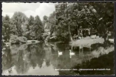 [Echtfotokarte schwarz/weiß] Liebenstein Schwanenteich im Elisabeth-Park. 