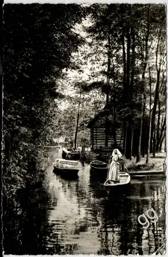 AK DDR Spreewaldpartie bei Lübbenau  l-8