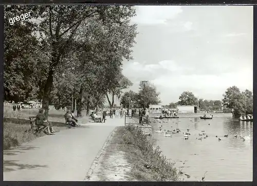 AK DDR Mühlhausen Promenade am Schwanenteich 48/16
