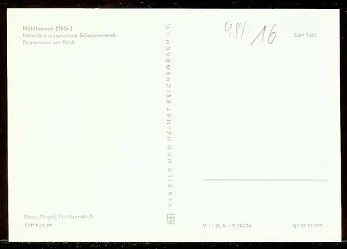 AK DDR Mühlhausen Promenade am Schwanenteich 48/16
