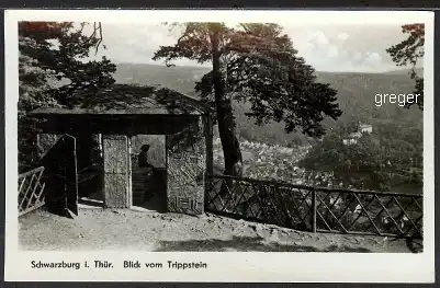AK DDR Schwarzburg in Thür. Blick vom Trippstein 65h 

