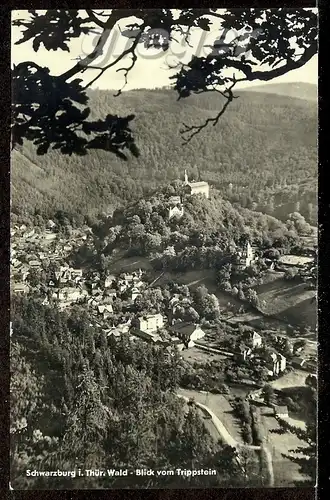 AK DDR   Schwarzburg i. Thür.-Wald, Blick vom Trippstein,   83d

