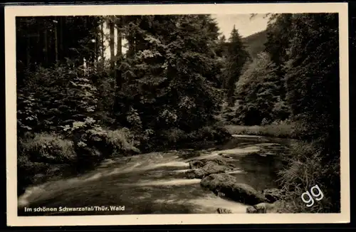 [Ansichtskarte] Im schönen Schwarzatal. 