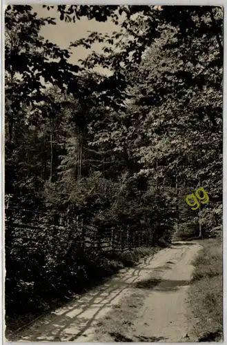 [Ansichtskarte] DDR In der Schorfheide, Altenhof, Süßer Winkel, Eichhorst  S 21. 