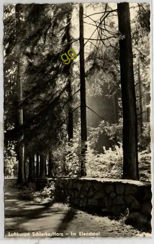[Ansichtskarte] DDR Luftkurort Schierke/Harz, im Elendstal   S 23. 