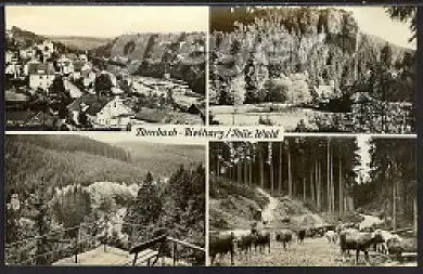 [Ansichtskarte] DDR Tambach-Dietharz Thür. Wald 13/8. 