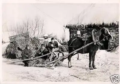  Originalfoto 7x10cm, Soldaten auf Panjeschlitten, Wintertarn