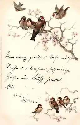  Künstler Postkarte Zwitschern in Zweigen, Serie 1043, ca. 1900