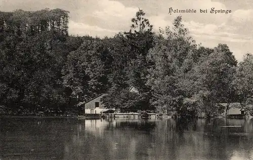  Foto AK, Holzmühle bei  bei Springe, 1914