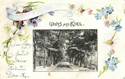  Foto AK, Jugendstil, Gruss aus Kiel, Düsternbrook., 1901