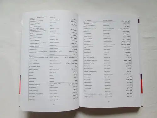 von: Dr. Albert Waldmann: R. Oldenbourg Verlag: Wirtschaftswörterbuch - Arabisch. 
